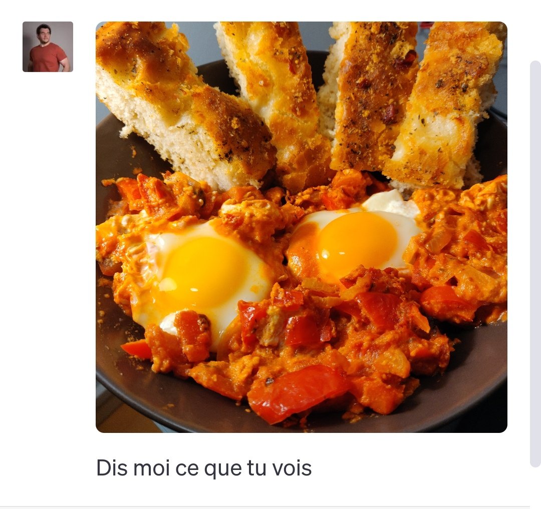 Photo de Shakchouka envoyée à ChatGPT Vision